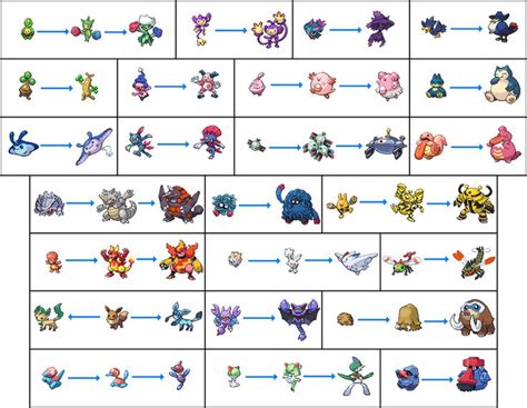 full pokemon evolution chart.